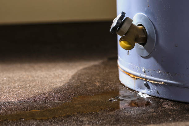 Best 24-hour water damage restoration  in Shawneeland, VA