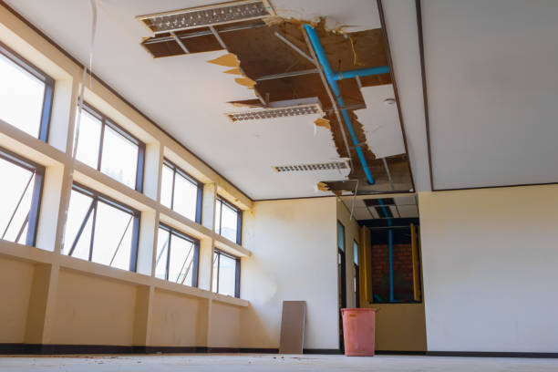 Best Water damage contractors near me  in Shawneeland, VA