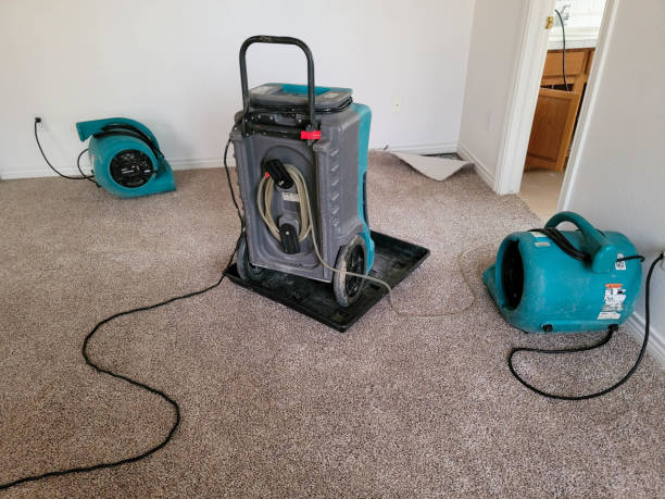 Best Local water damage restoration  in Shawneeland, VA