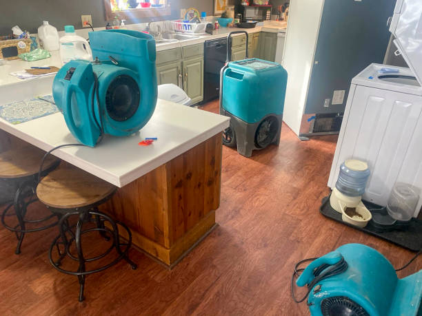 Best 24/7 water damage repair  in Shawneeland, VA