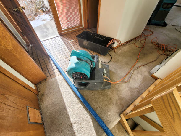 Best Water damage restoration near me  in Shawneeland, VA