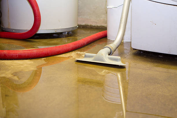 Water damage restoration experts in Shawneeland, VA