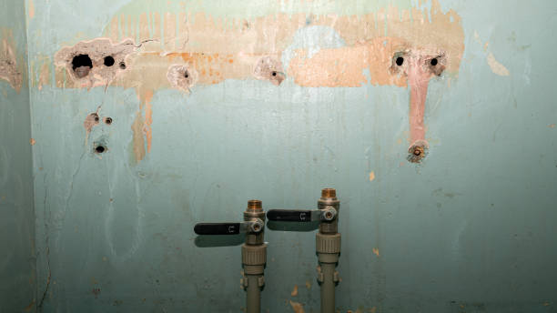 Local water damage restoration in Shawneeland, VA